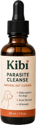 Kibi
